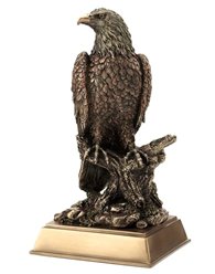 Orzeł Orlik Bielik Veronese